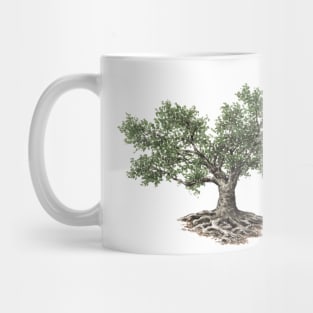 May birthday fig tree Mug